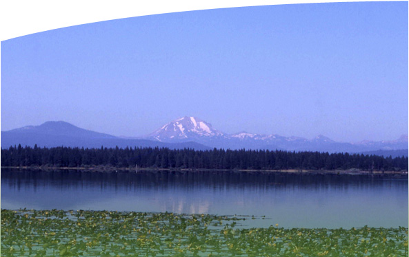 Mountain Meadows Conservancy